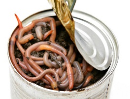 can-of-worms